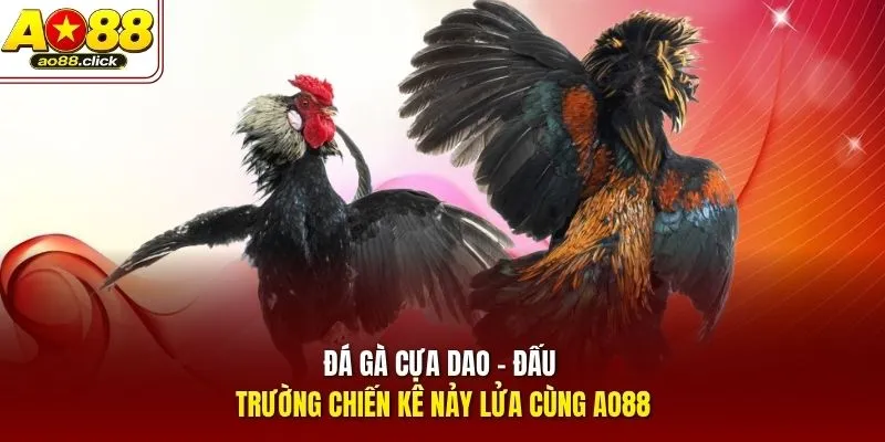 Đá Gà Cựa Dao - Đấu Trường Chiến Kê Nảy Lửa Cùng AO88