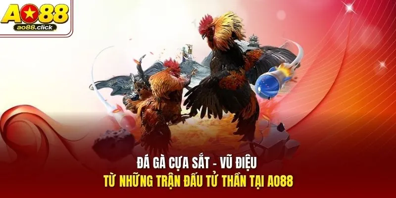 Đá Gà Cựa Sắt - Vũ Điệu Từ Những Trận Đấu Tử Thần Tại AO88