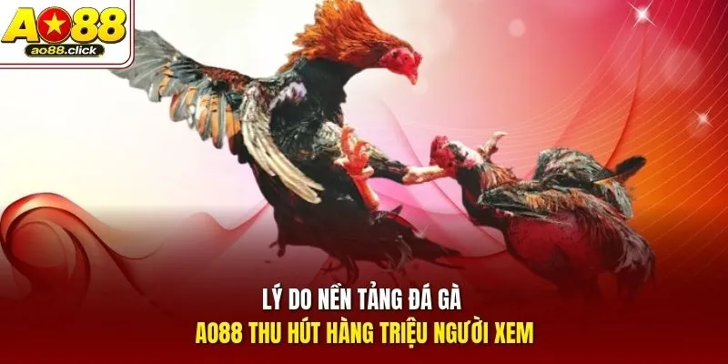 Lý do nền tảng đá gà AO88 thu hút hàng triệu người xem