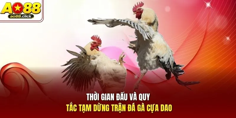 Thời gian đấu và quy tắc tạm dừng trận đá gà cựa dao