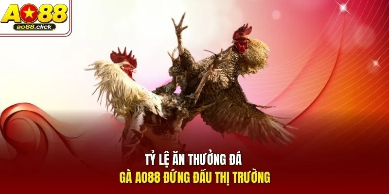 Tỷ lệ ăn thưởng đá gà AO88 đứng đầu thị trường